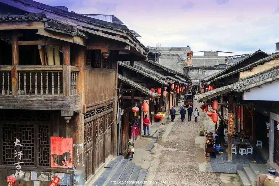 全民烧脑3去广告版