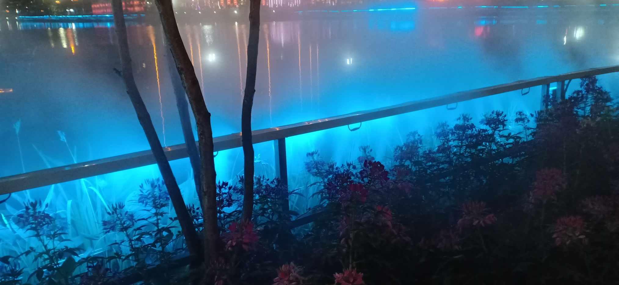 毕业生被推荐到电诈公司后获刑，学校：已提供法律援助，或将追责合作企业方
